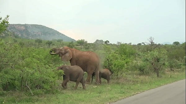 Hot white on black amateur couple dogging around Africa